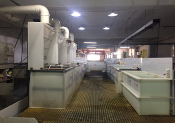 滿足個性化需求